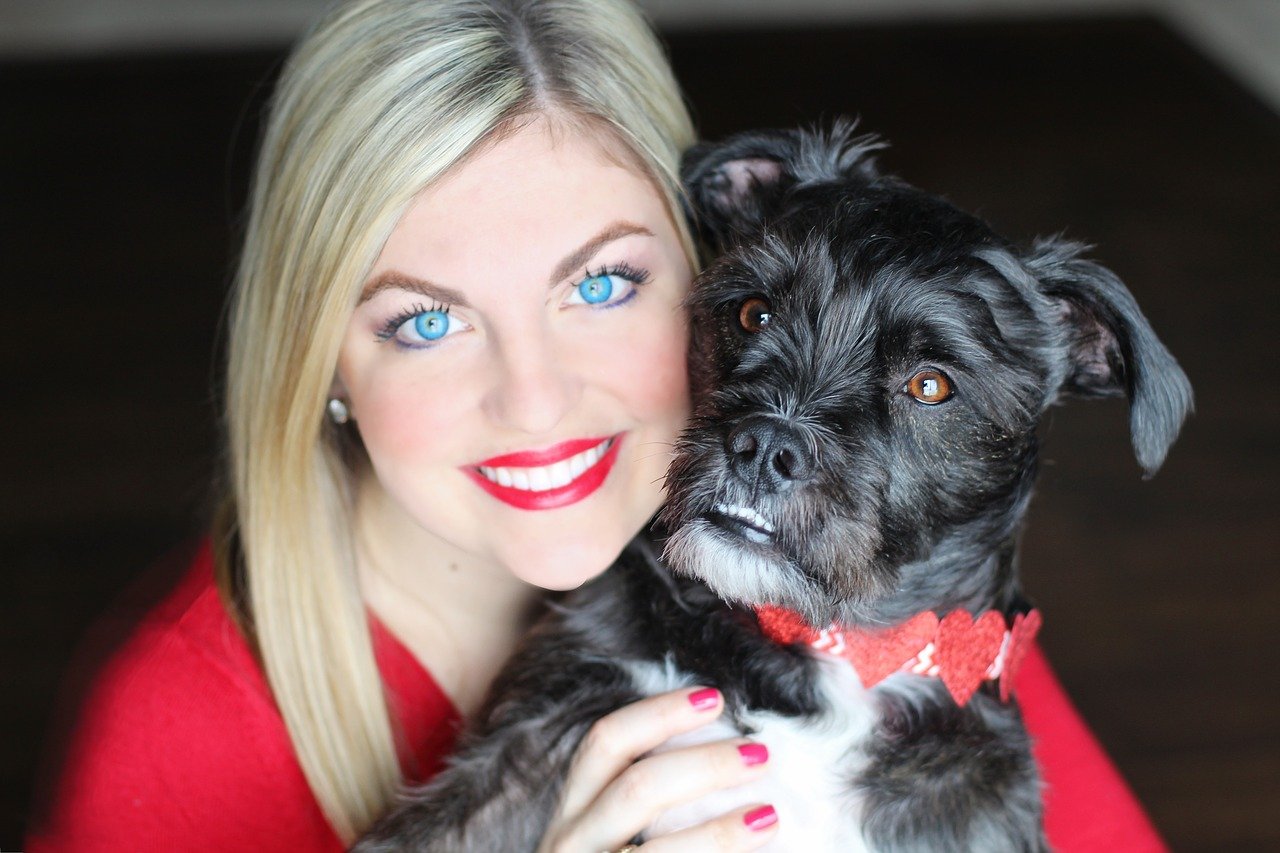 Certificación de criadores de Schnauzer